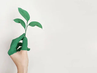 Eco living and sustainable material choices 